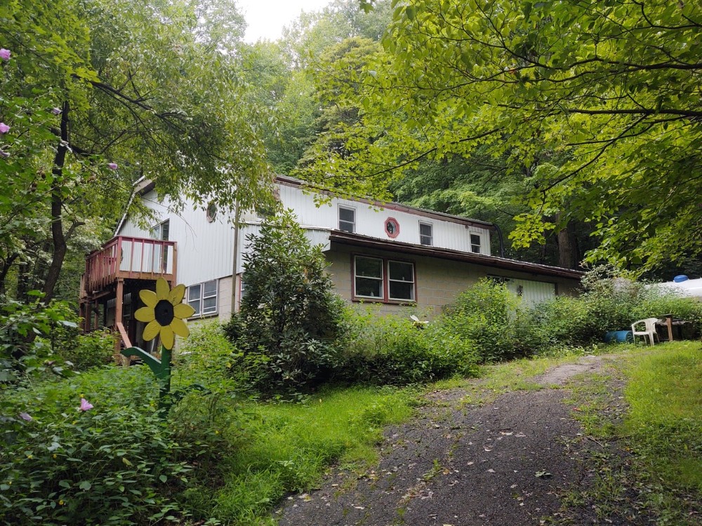 Kiko Realtors, Auctioneers, Advisors 9.5Acre Wooded HideAway W